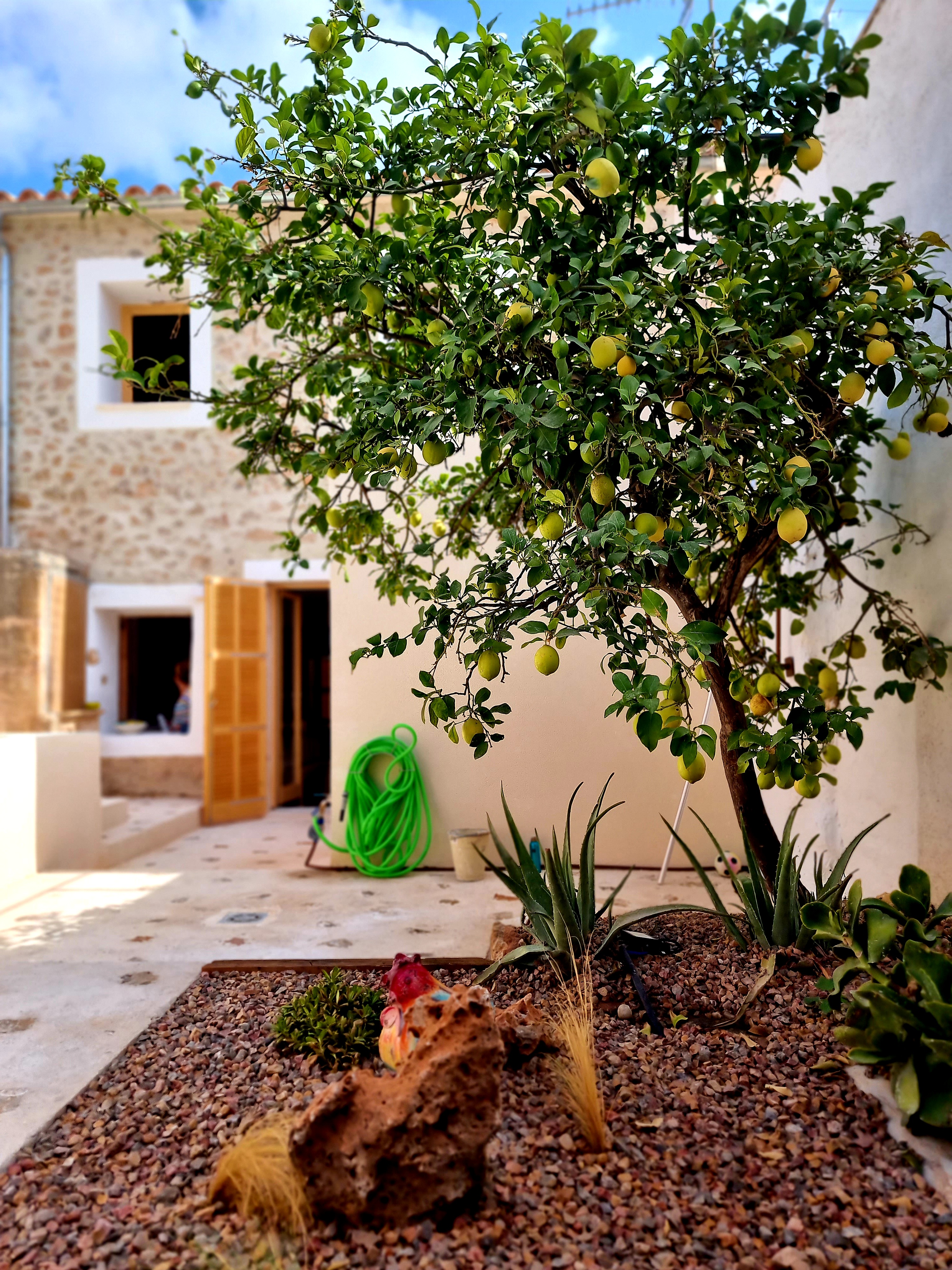 La casa de Mallorca - Imagen 6